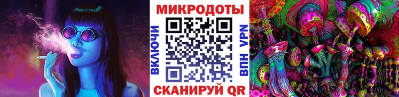 нарко площадка Telegram  Новосибирск  Галлюциногенные грибы Psilocybe 